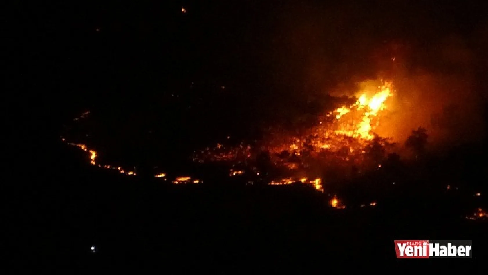 Elazığ'daki Orman Yangını Söndürüldü