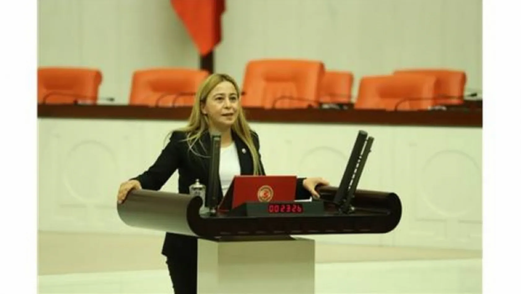 MHP'li Kara, Baskil'i Meclise Taşıdı