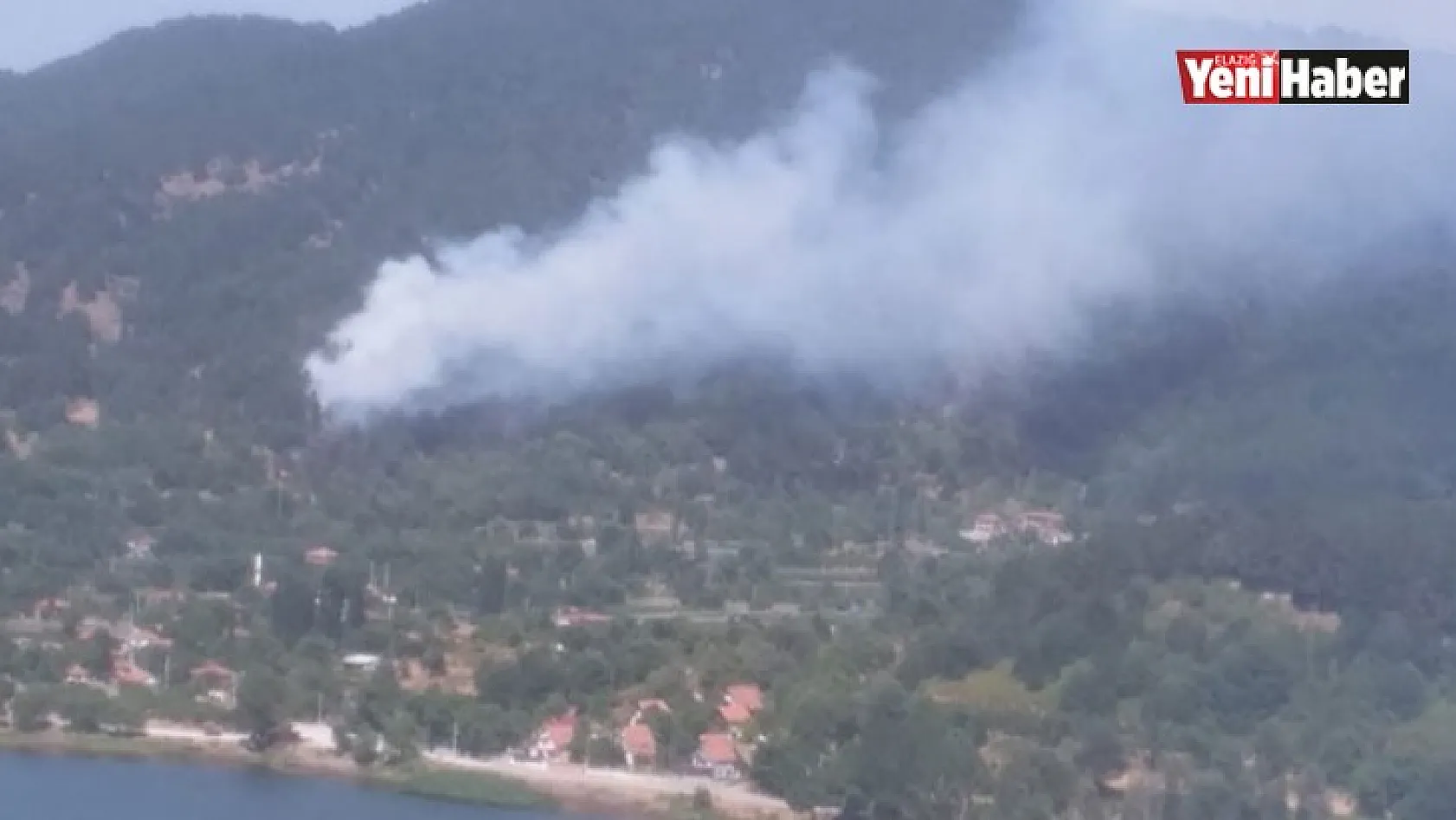 İzmir Ödemiş'te Orman Yangını!