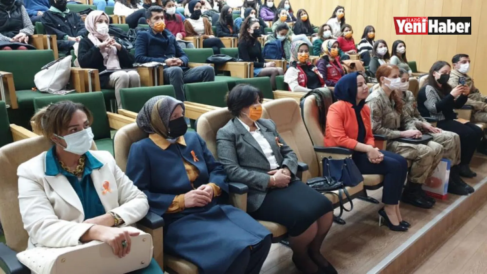 'Kadına Yönelik Şiddetle Mücadele' Konferansı
