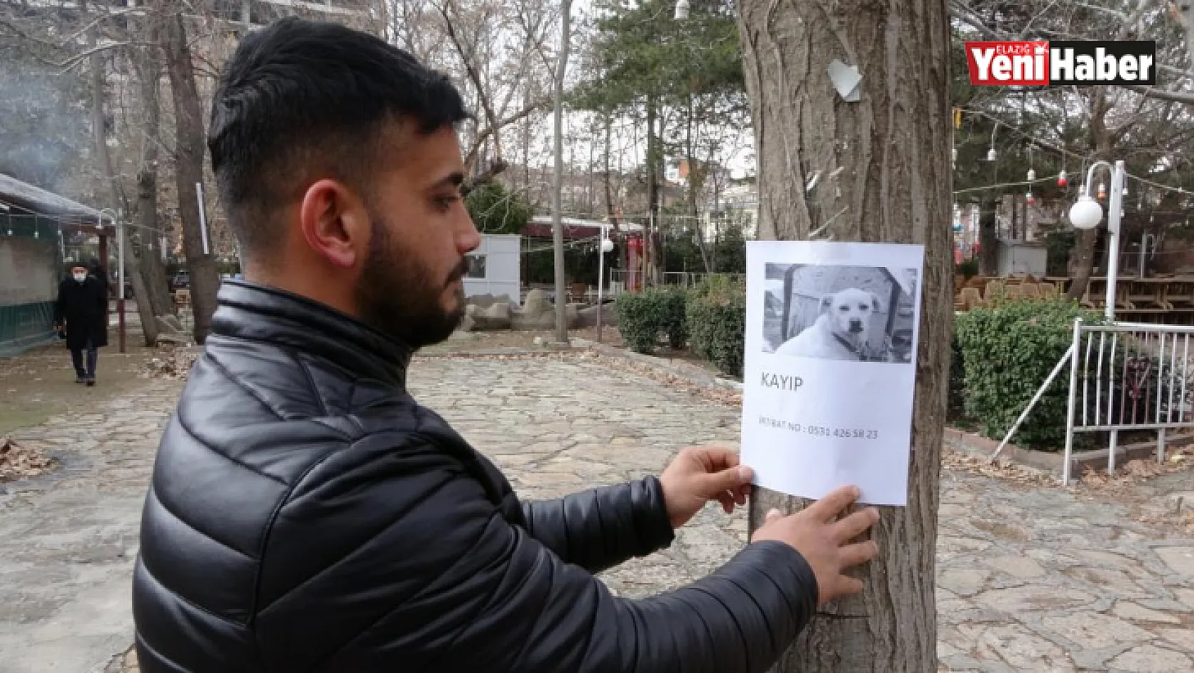 Sokak Sokak Gezerek Kaybolan Köpeğini Arıyor