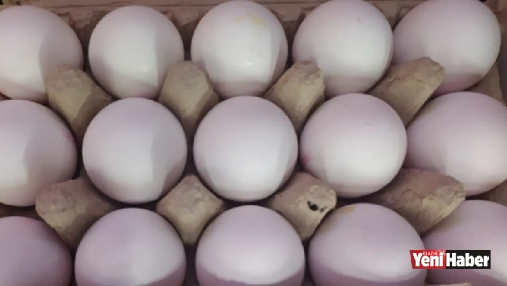 Yumurta Fiyatlarında Rekor Artış!