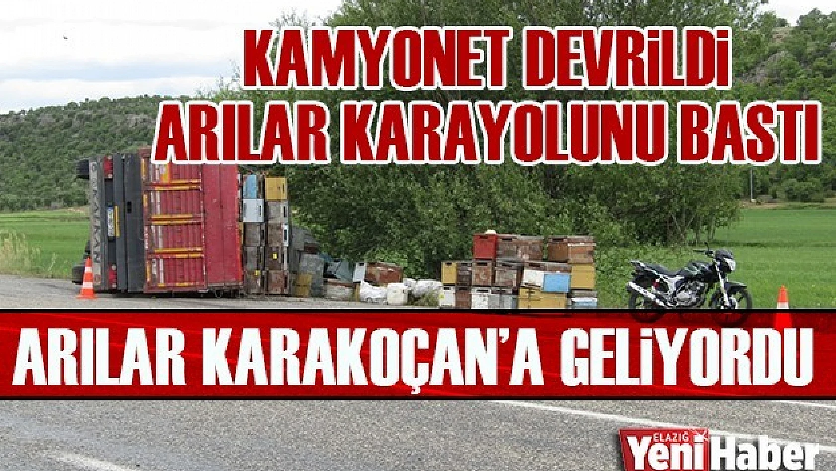 Devrilen Kamyonetteki Arılar Karayolunu Bastı