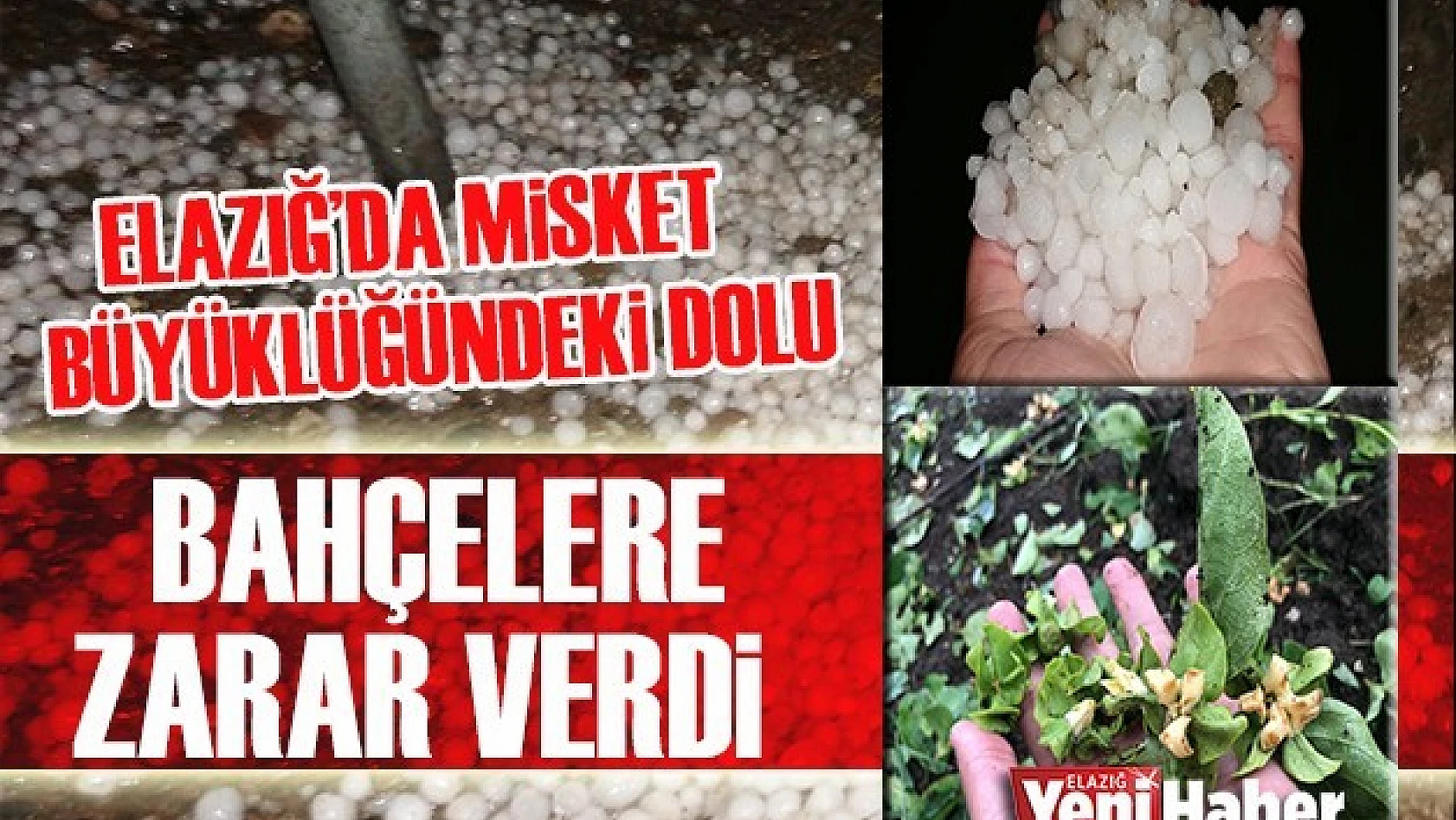 Misket Büyüklüğündeki Dolu, Bahçelere Zarar Verdi