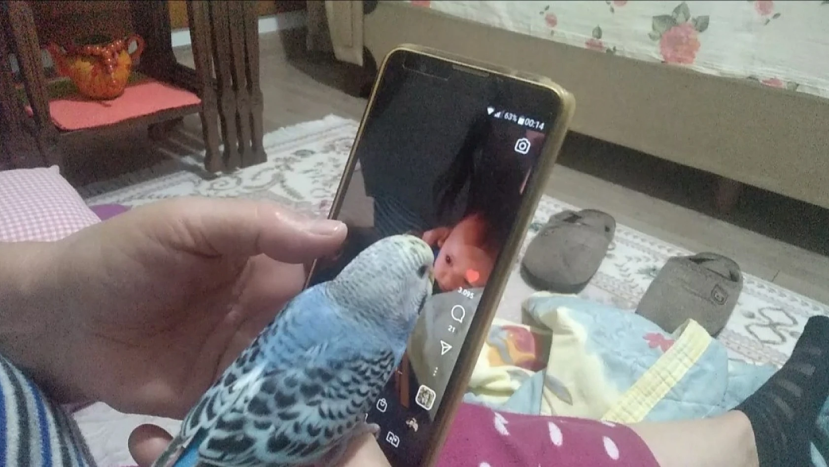Sosyal Medyayı Takip Eden Kuş!