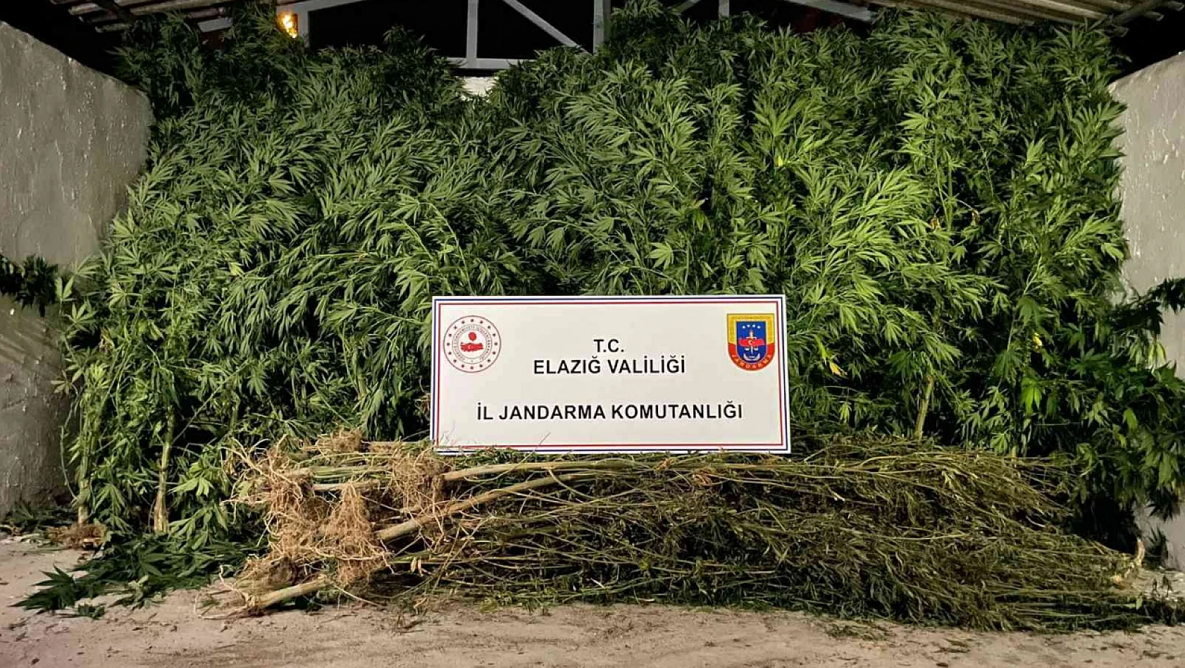 Jandarma Uyuşturucuya Geçit Vermiyor