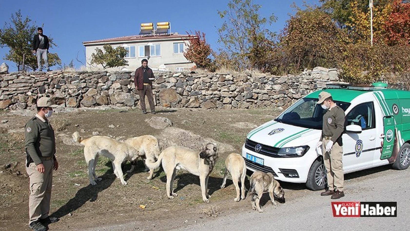 Elazığ'da Hayvanları Koruma Polisi Görev'de!