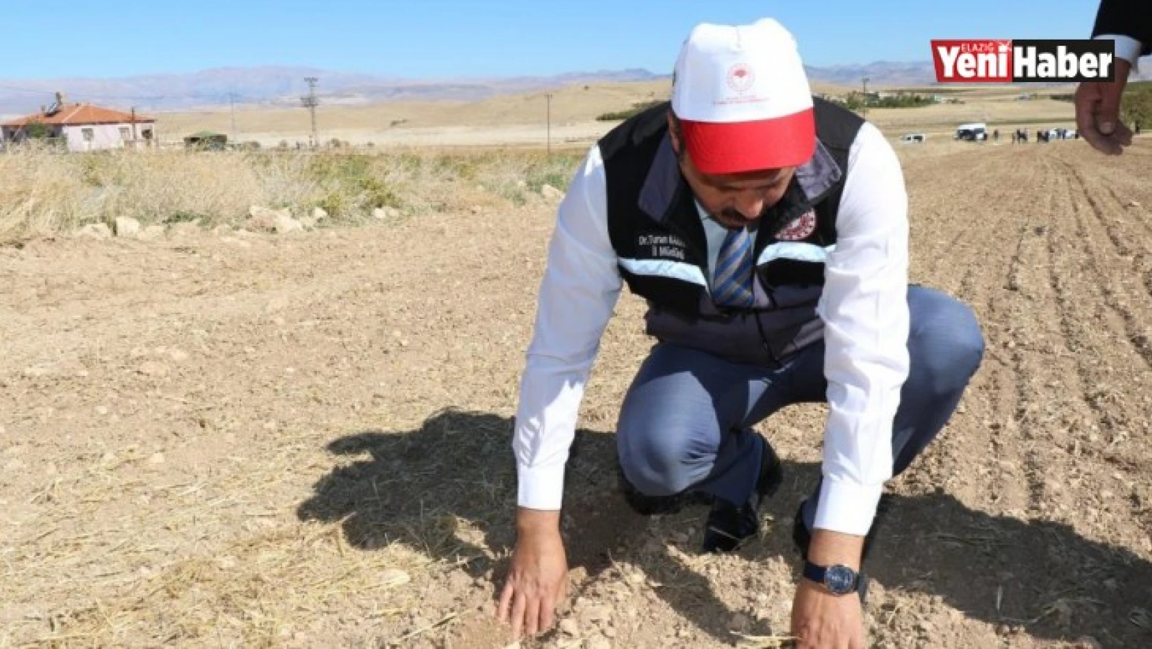 Elazığ'da İkinci Ürün Olarak Sarımsak Ekimi Gerçekleştirildi