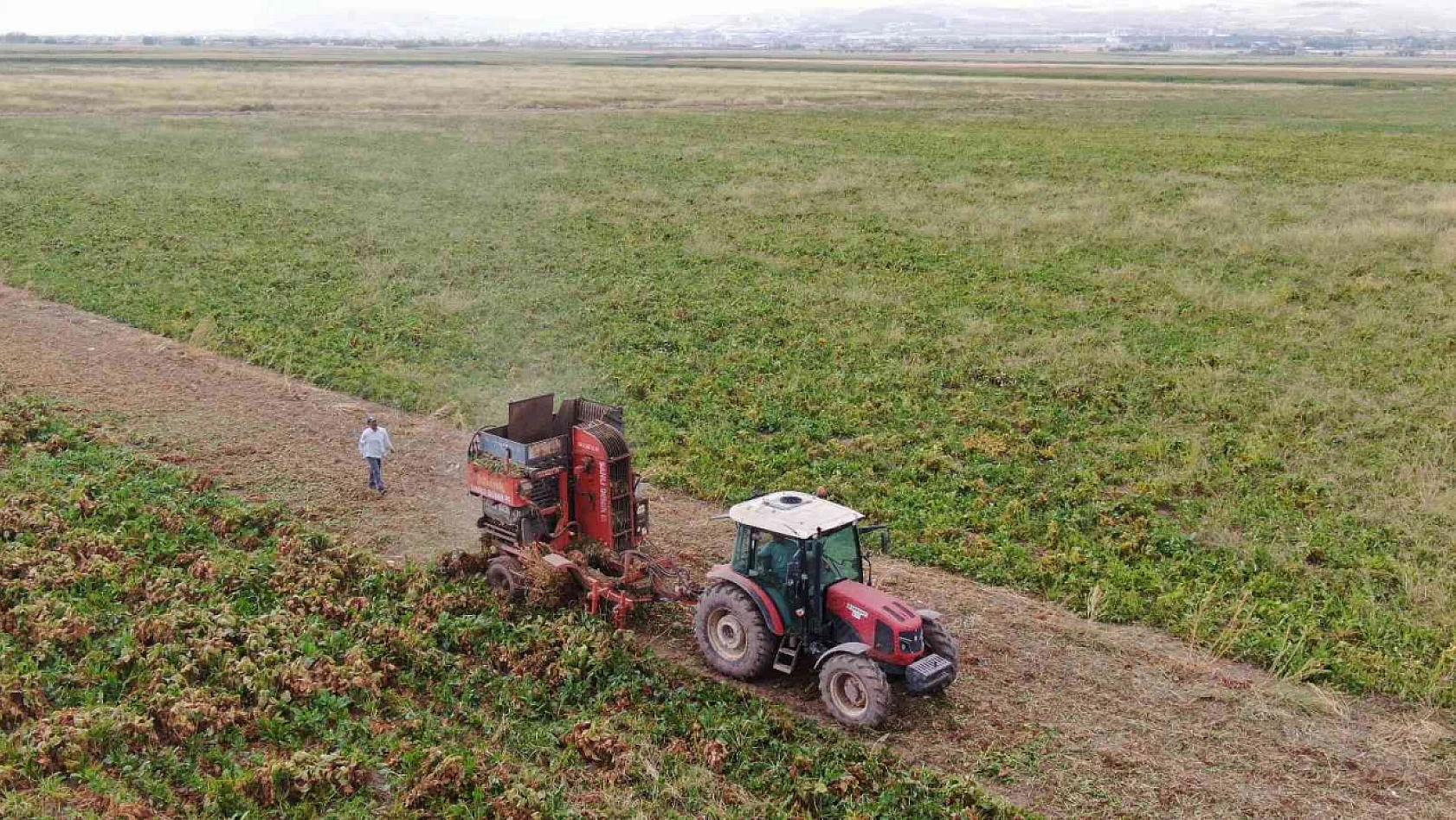 Elazığ'da şeker pancarı mesaisine başlayan çiftçiler fiyattan memnun