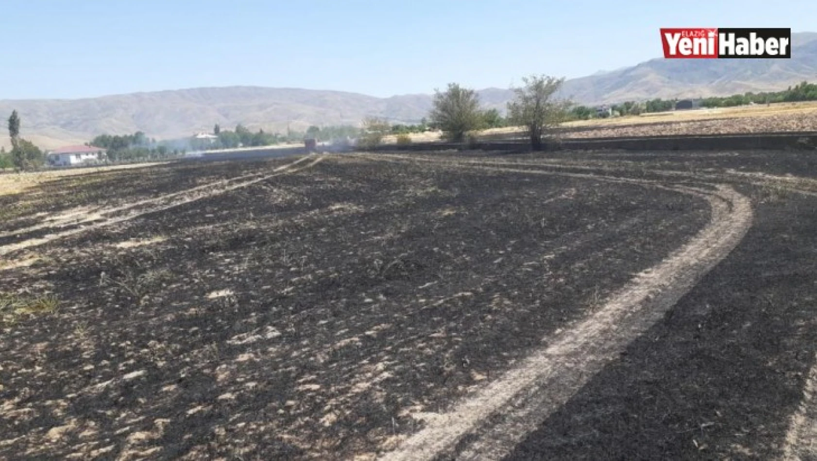 Elazığ'da Yangın, Arpa Ekili Arazi Kül Oldu!