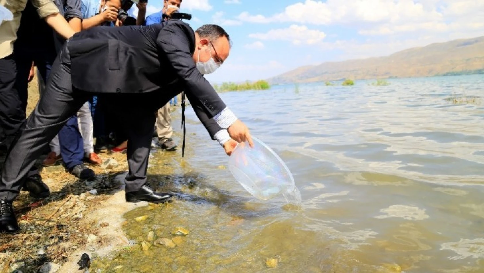 İlk defa üretimi yapılan 420 bin adet siraz balığı, Hazar Gölü'ne bırakıldı