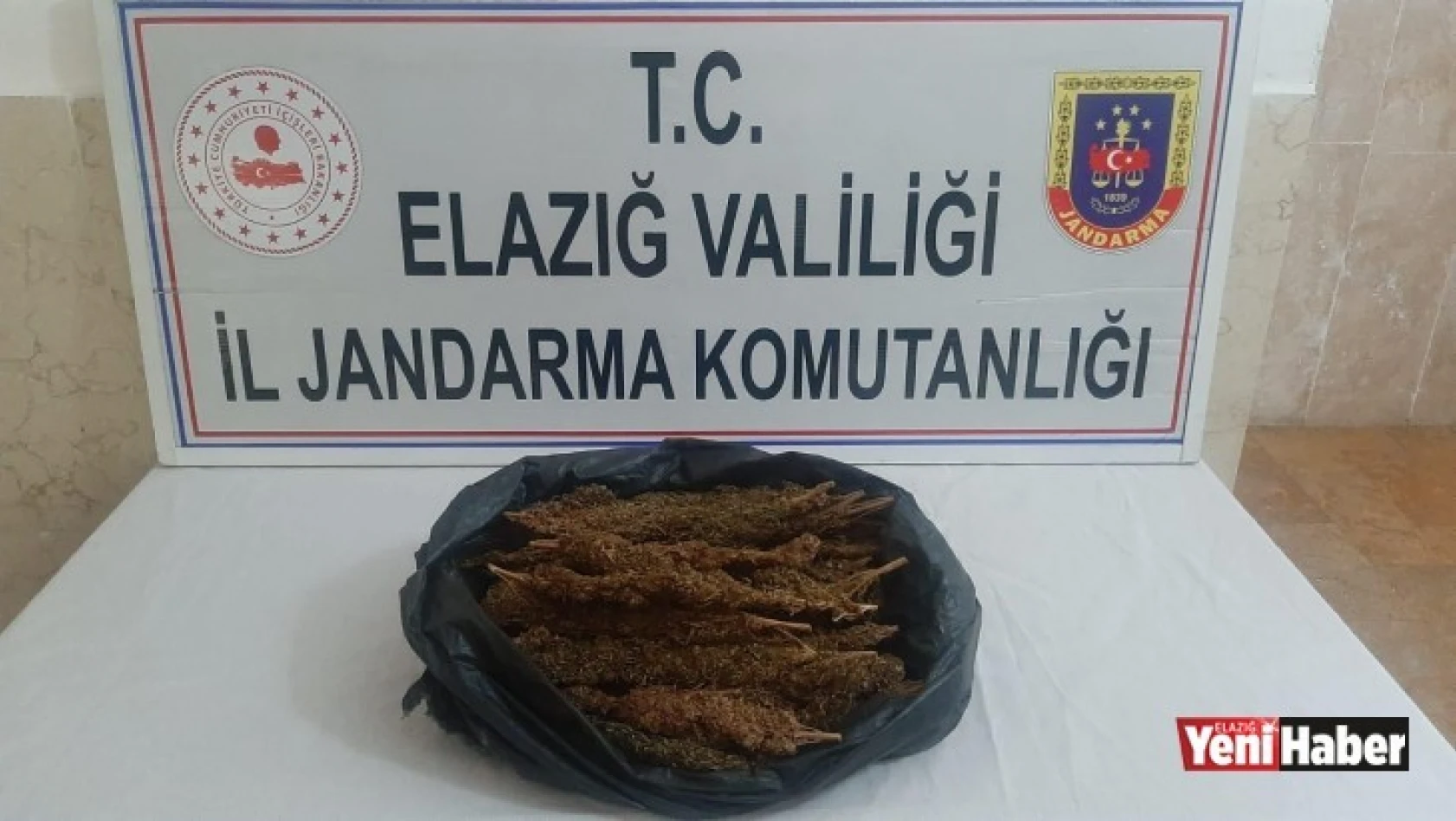Toz Esrarı Koltuğa Zulalayan 2 Şüpheli Yakalandı!