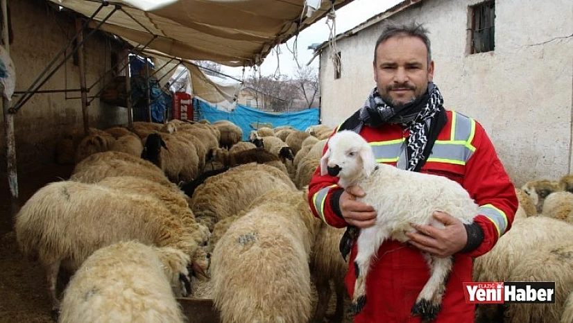 Kuzulara Kendi Bebeği Gibi Bakıyor