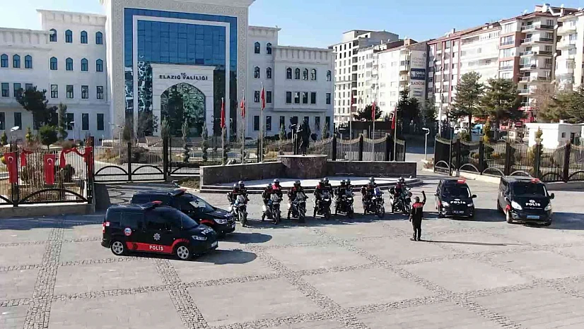 Yunuslardan Gövde Gösterisi